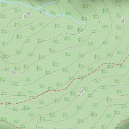 上帝的部落紅檜的故鄉 司馬庫斯古道 西丘斯山 雪白山 東泰野寒山 泰雅古道二日行by 山通大海紀行的遊記